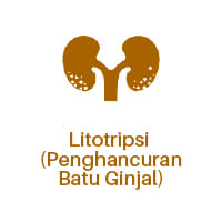 Lithotripsy