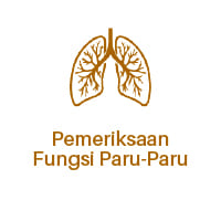 Pulmonary Lung Function Analysis